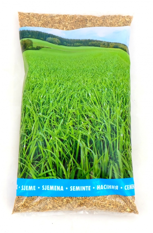 Picture of Barmultra II, Italian ryegrass, 1kg