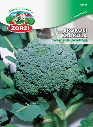 Picture of Brokoli Calabrese Natalino - Semenska vrečka Zorzi