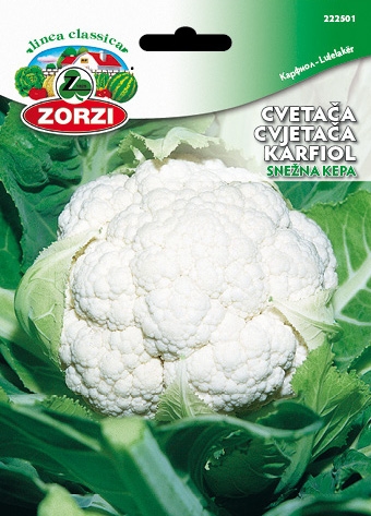 Bild von Blumenkohl SCHNEEBALL - Zorzi Samenbeutel