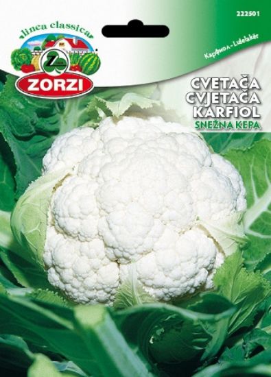 Picture of Cvetača SNOWBALL - Semenska vrečka Zorz