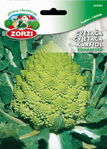 Bild von Blumenkohl Romanesco - Zorzi Samenbeutel