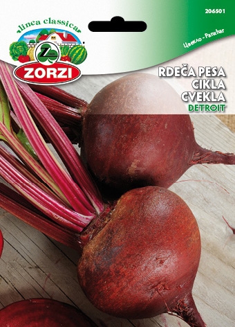Picture of Beetroot Detroit - Zorzi seed packet