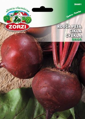 Picture of Rdeča pesa Bikor - Semenska vrečka Zorzi