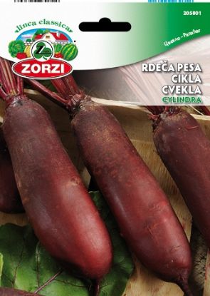 Picture of Rdeča pesa Cylindra - Semenska vrečka Zorzi