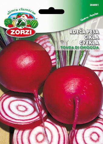 Bild von Rote Rübe Tonda Di Chiogga - Zorzi Samenbeutel