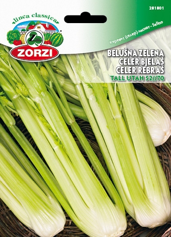 Bild von Bleichsellerie Tall Utah 52/70 - Zorzi Samenbeutel