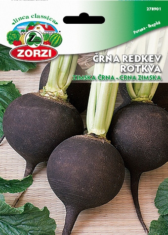 Bild von Schwarzer Winterrettich - Zorzi Samenbeutel