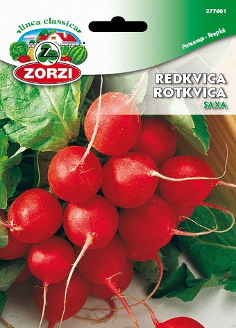 Picture of Radish Saxa - Zorzi seed packet