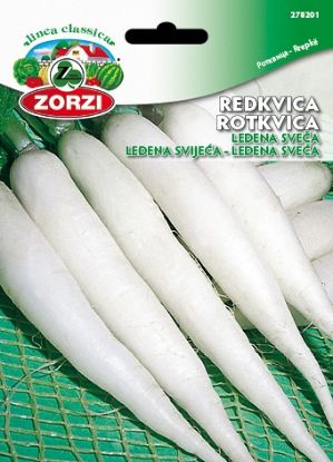 Picture of Redkvica Ledena sveča - Semenska vrečka Zorzi