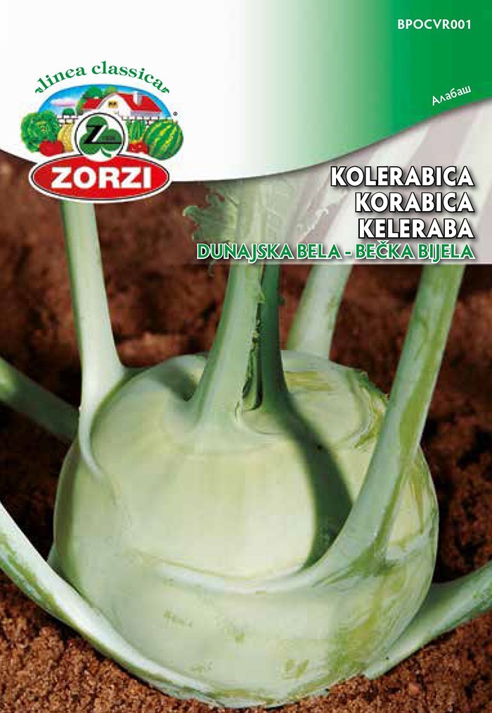 Picture of White Vienna Kohlrabi  - Zorzi seed packet