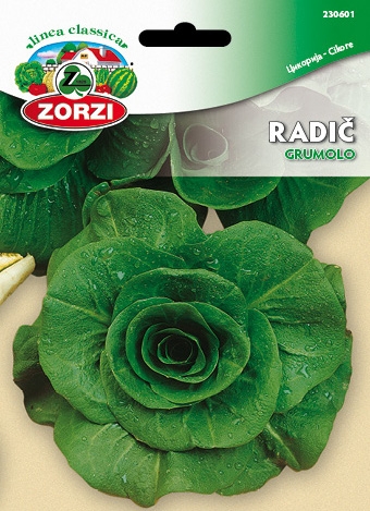 Picture of Chicory Grumolo - Zorzi seed packet