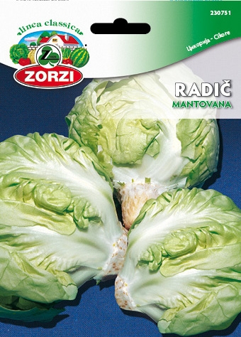 Bild von Radicchio Mantovana - Zorzi Samenbeutel