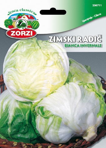 Bild von Radicchio Bianca Invernale - Zorzi Samenbeutel