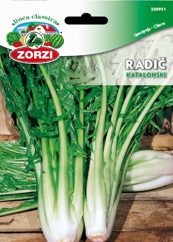 Picture of Catalonian Chicory - Zorzi seed packet