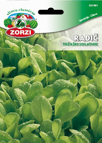 Picture of Chicory Zuccherina di Trieste - Zorzi seed packet