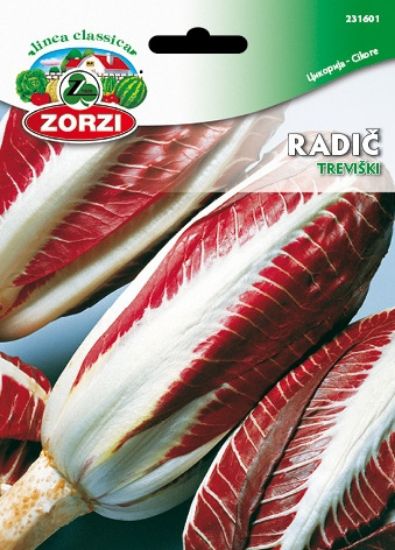 Picture of Chicory Rossa di Treviso - Zorzi seed packet