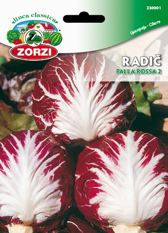 Picture of Chicory Palla Rossa 3 - Zorzi seed packet