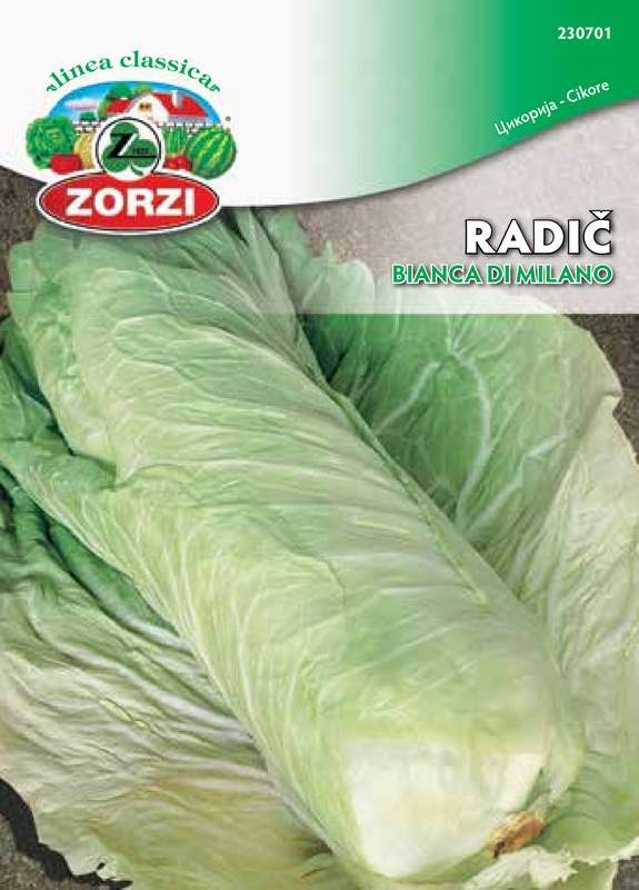 Picture of Chicory Bianca di Milano - Zorzi seed packet