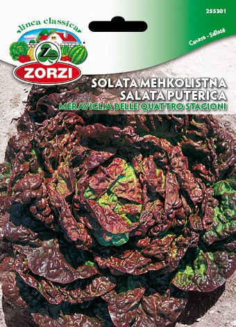 Bild von Salat Mereviglia delle 4 stagioni - Zorzi Samenbeutel