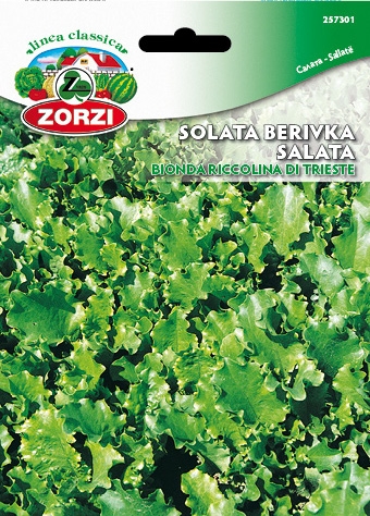 Bild von Salat Bionda Riccolina Di Trieste - Zorzi Samenbeutel