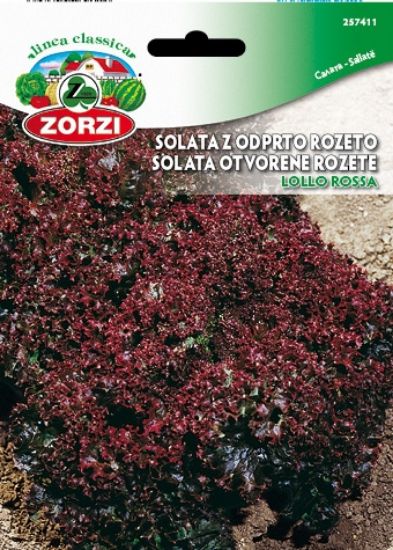 Picture of Solata Lollo Rossa - Semenska vrečka Zorzi