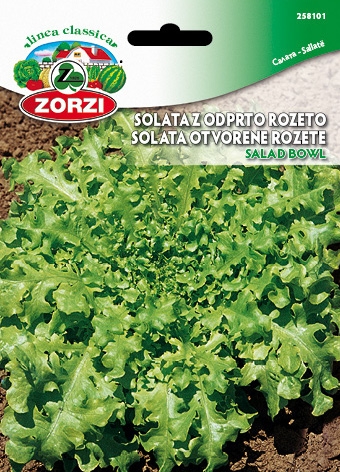 Bild von Salat Salad Bowl - Zorzi Samenbeutel
