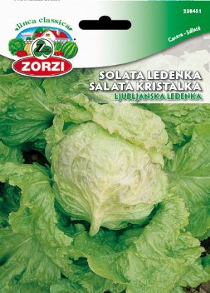 Picture of Solata Ljubljanska Ledenka - Semenska vrečka Zorzi