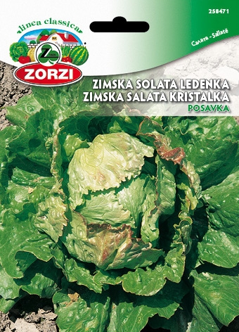 Bild von Salat Posavka - Zorzi Samenbeutel