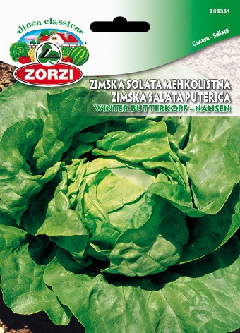 Slika Solata Nansen - Semenska vrečka Zorzi