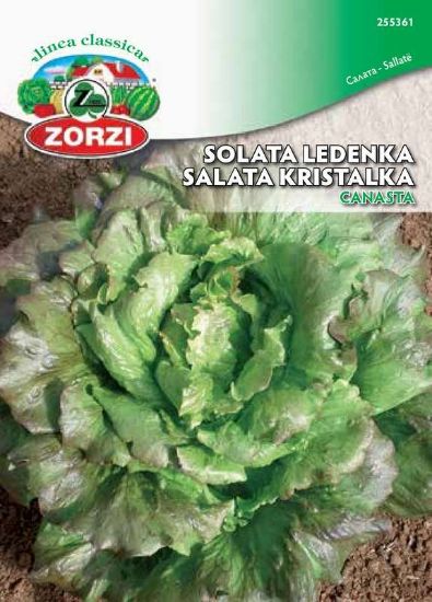 Bild von Solata Canasta - Semenska vrečka Zorzi