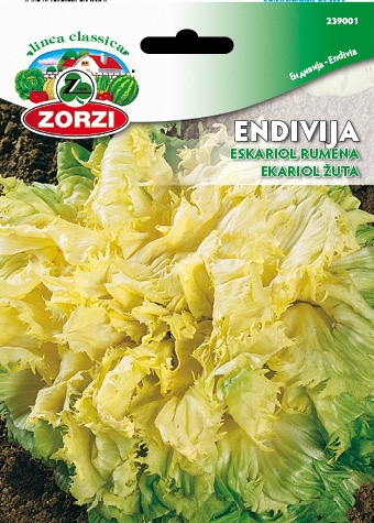 Picture of Yellow Broadleaf Batavian endive - Zorzi seed packet