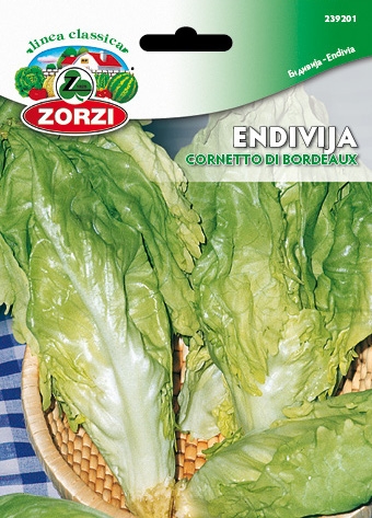 Bild von Endivie Corneto Di Bordeaux - Zorzi Samenbeutel