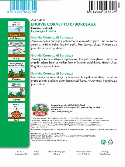 Bild von Endivie Corneto Di Bordeaux - Zorzi Samenbeutel