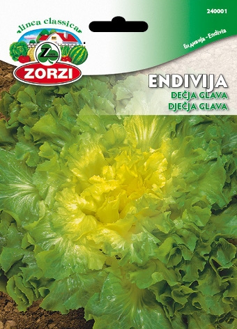 Picture of Endive Bubikopf - Zorzi seed packet
