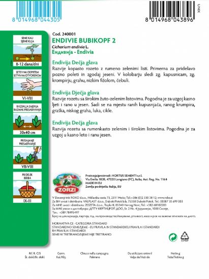 Picture of Endive Bubikopf - Zorzi seed packet