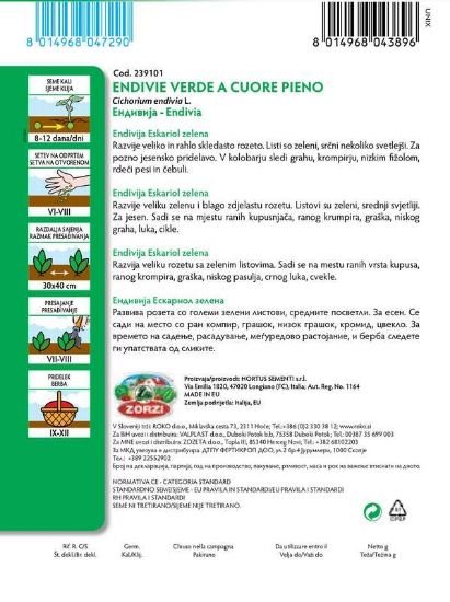 Picture of Green Broadleaf Batavian endive - Zorzi seed packet