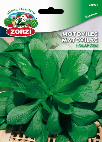 Picture of Lamb’s lettuce Dutch broadleaf - Zorzi seed packet