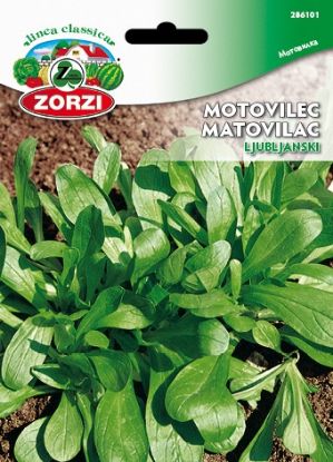 Picture of Ljubljana lamb’s lettuce - Zorzi seed packet