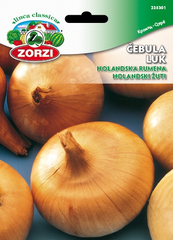 Bild von Gelbe holländische Zwiebel - Zorzi Samenbeutel