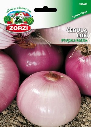 Slika Čebula Ptujska rdeča - Semenska vrečka Zorzi