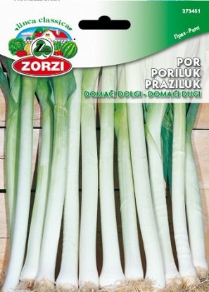 Picture of Leek Domestic Long - Zorzi seed packet
