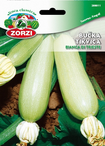 Picture of Zucchini Bianca di Trieste - Zorzi seed packet