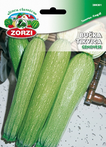 Picture of Zucchini Genovese - Zorzi seed packet