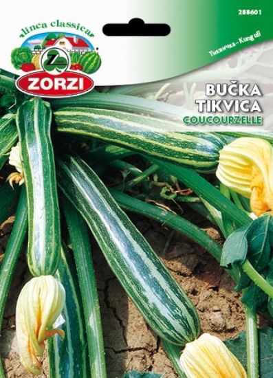 Bild von Bučke Coucourzelle - Semenska vrečka Zorzi