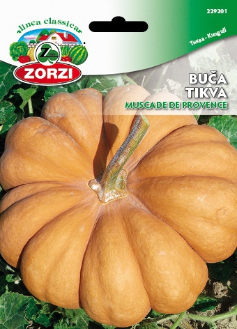Picture of Nutmeg Zucchini - Zorzi seed packet