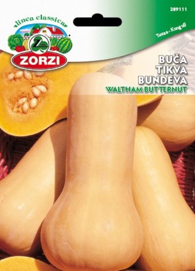 Slika Bučke Waltham Butternut - Semenska vrečka Zorzi