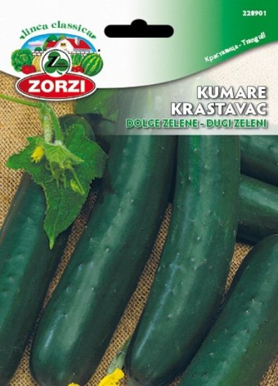 Bild von LONG VERT MARAICHER - Semenska vrečka Zorzi