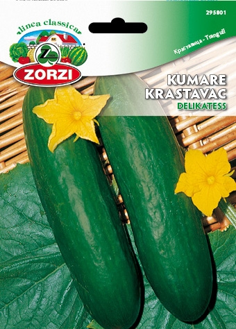 Bild von Gurke Delikatess - Zorzi Samenbeutel