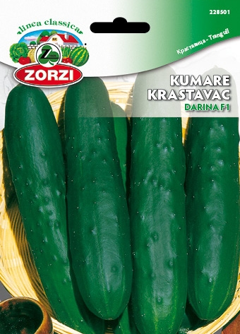 Picture of Cucumber Darina F1 - Zorzi seed packet