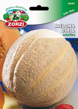 Bild von Melona Ananas - Semenska vrečka Zorzi